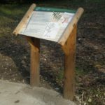 Table de lecture – Le noyer noir