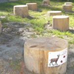 Jeu ludo sportif – Agrès saute animal