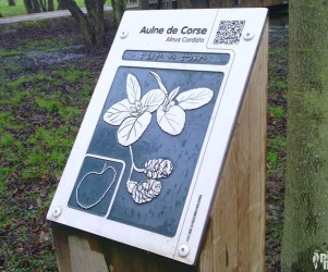 Signalétique touristique - Plaque arboretum - Aulne de Corse - Fabrication PIC BOIS