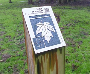 Signalétique touristique - Plaque arboretum - L'érable - Fabrication PIC BOIS