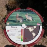 Mobilier interactif – Disques rotatifs