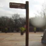 Directionnel routier – Parc animalier