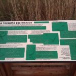 Table de lecture – Royaume des oiseaux
