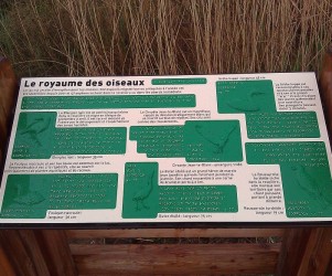 04-mison-upaix-tables-de-lecture-table-lecture-braille.jpg Signalétique touristique - Table de lecture - Royaume des oiseaux - Fabrication PIC BOIS