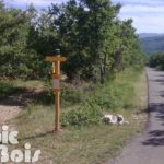 Directionnel sentier – Flèche FFR