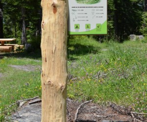 Signalétique touristique - Panneau d'information - Le Bois Noir - Fabrication PIC BOIS