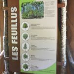 Panneau d’information – Vie de l’arbre