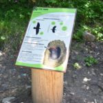 Table de lecture – Ecorce