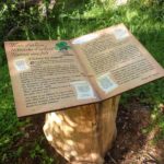 Table de lecture – Forme livre ouvert