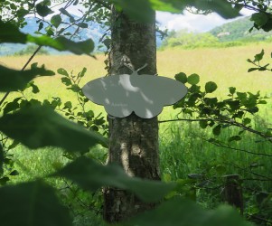 Signalétique touristique - Silhouette - Papillon - Fabrication PIC BOIS