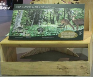 Signalétique touristique - Mobilier interactif - Les biomasses - Fabrication PIC BOIS