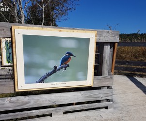 Signalétique touristique - Plaque thématique - Panneau photo - Fabrication PIC BOIS