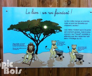 Signalétique touristique - Plaque thématique - La vie du lion - Fabrication PIC BOIS