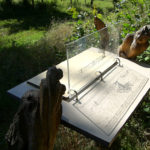 Table de lecture – Parcours en forêt