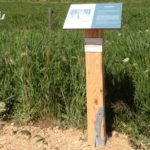 Table de lecture – Sentier sportif