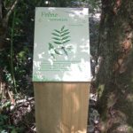 Plaque arboretum – Frêne commun
