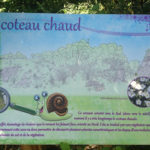 Table de lecture – Le coteau chaud
