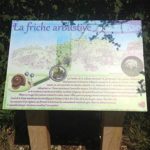 Table de lecture – La friche arbustive