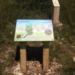 Table de lecture – La pelouse