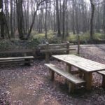 Table de pique nique – Vue globale