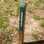 Balisage – Découverte forêt