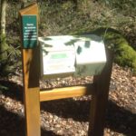 Mobilier interactif – Découverte forêt