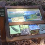 Mobilier interactif – Vie du ruisseau