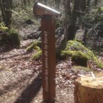 Parcours sensoriel – Sons de la forêt