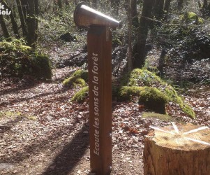 Signalétique touristique - Parcours sensoriel - Sons de la forêt - Fabrication PIC BOIS