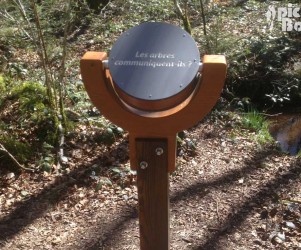 Signalétique touristique - Mobilier interactif - Les arbres - Fabrication PIC BOIS