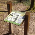 Panneau de jeu – Taquin arbre mort