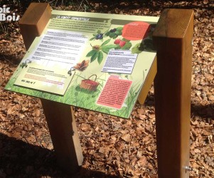 Signalétique touristique - Table de lecture - La forêt comestible - Fabrication PIC BOIS