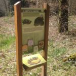 Mobilier interactif – Le forestier