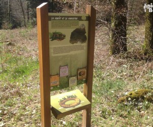 23-creuse-volets-a-soulever-volets-a-soulever-et-bqr.jpg Signalétique touristique - Mobilier interactif - Le forestier - Fabrication PIC BOIS