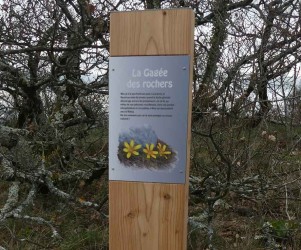 Signalétique touristique - Plaque arboretum - La gagée des rochers - Fabrication PIC BOIS