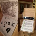 Parcours sensoriel – Borne sonore