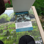 Mobilier interactif – Faune aquatique