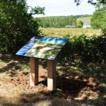 Table de lecture – Paysage campagne
