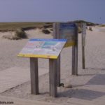 Table de lecture – Préserver les dunes