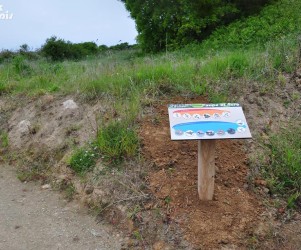 Signalétique touristique - Table de lecture - Espèces représentées - Fabrication PIC BOIS