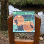 Mobilier interactif – Les oiseaux