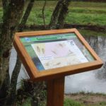 Table de lecture – Didactique insectes