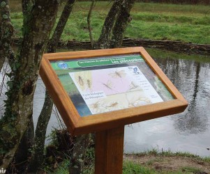 Signalétique touristique - Table de lecture - Didactique insectes - Fabrication PIC BOIS