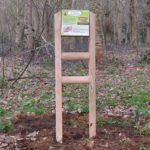 Mobilier interactif – Espèces en forêt
