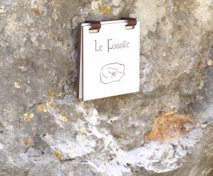 Signalétique touristique - Mobilier interactif - Fossile - Fabrication PIC BOIS