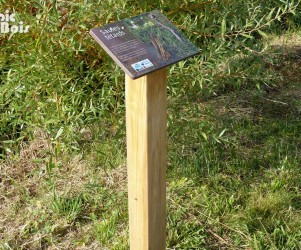 32-gers-plaques-thematiques-arboretum.jpg Signalétique touristique - Plaque arboretum - Les saules tétards - Fabrication PIC BOIS