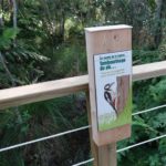 Parcours sensoriel – Ecoute l’oiseau