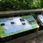 Table de lecture – Excrements