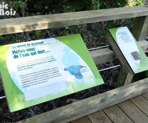 33-gironde-plaques-thematiques-empreintes-d-oiseaux.jpg Signalétique touristique - Plaque thématique - Empreintes oiseaux - Fabrication PIC BOIS