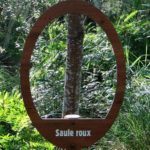 Plaque arboretum – Fenêtre sur arbre